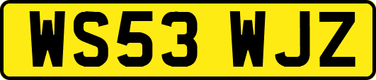 WS53WJZ