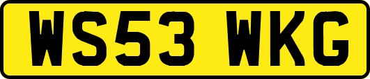 WS53WKG
