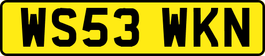 WS53WKN