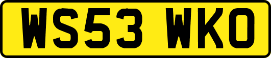 WS53WKO