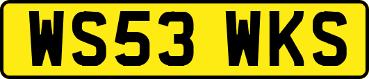 WS53WKS
