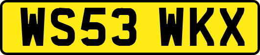 WS53WKX