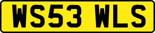 WS53WLS