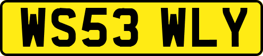 WS53WLY