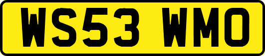 WS53WMO