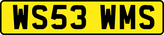 WS53WMS