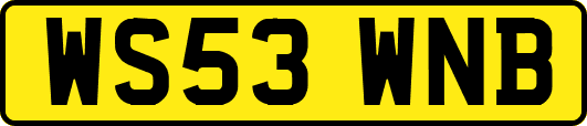 WS53WNB