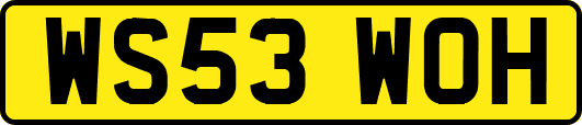 WS53WOH