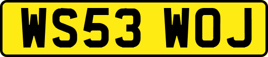 WS53WOJ