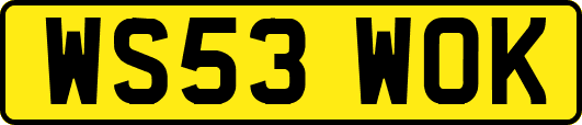 WS53WOK