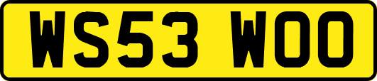 WS53WOO