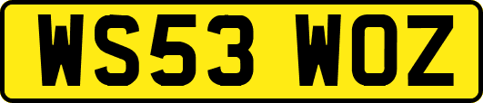 WS53WOZ