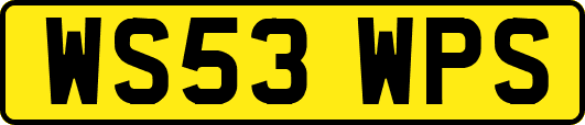 WS53WPS