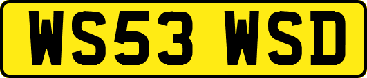 WS53WSD