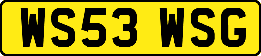 WS53WSG