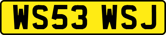 WS53WSJ