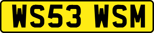 WS53WSM