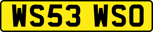 WS53WSO