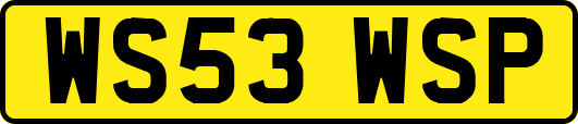 WS53WSP