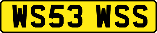 WS53WSS