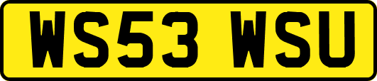 WS53WSU