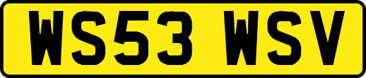 WS53WSV