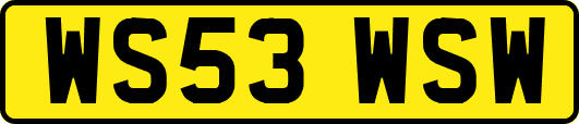 WS53WSW
