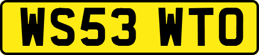 WS53WTO