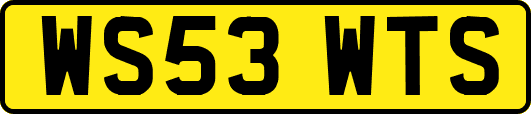 WS53WTS