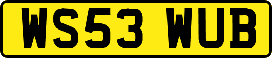 WS53WUB