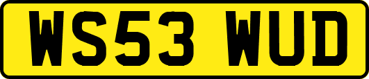 WS53WUD