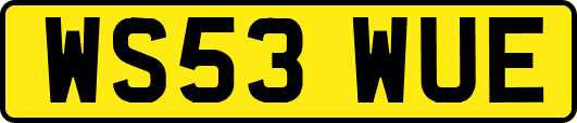 WS53WUE