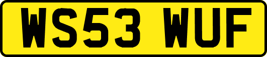 WS53WUF