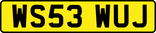 WS53WUJ