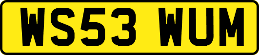 WS53WUM