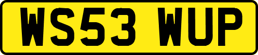 WS53WUP