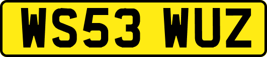 WS53WUZ