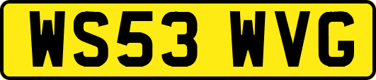 WS53WVG
