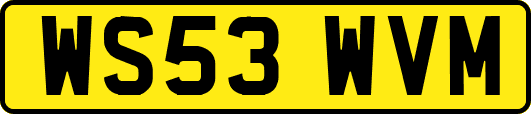 WS53WVM