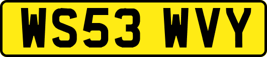 WS53WVY