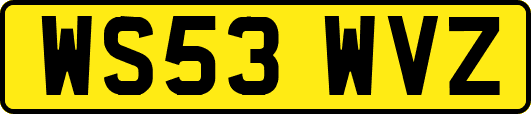 WS53WVZ