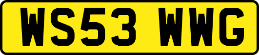 WS53WWG