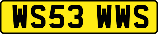 WS53WWS