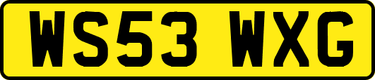 WS53WXG