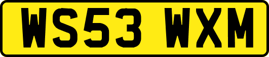 WS53WXM