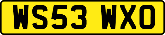 WS53WXO