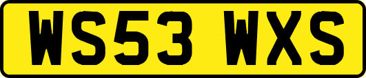 WS53WXS