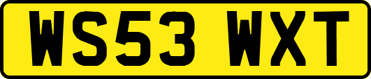 WS53WXT