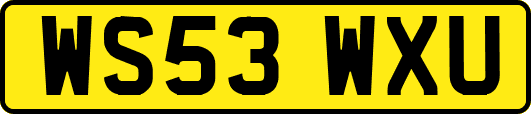 WS53WXU