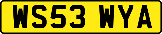 WS53WYA